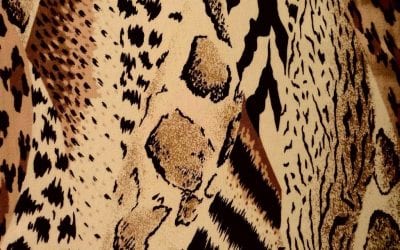 5 ways to decorate your home with animal wallpaper