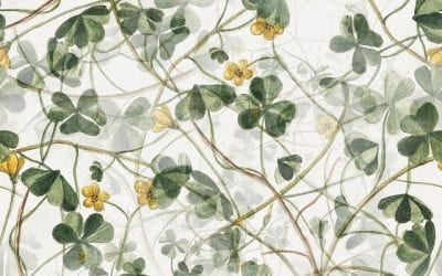 Floral Wallpaper: Common Benefits and Features