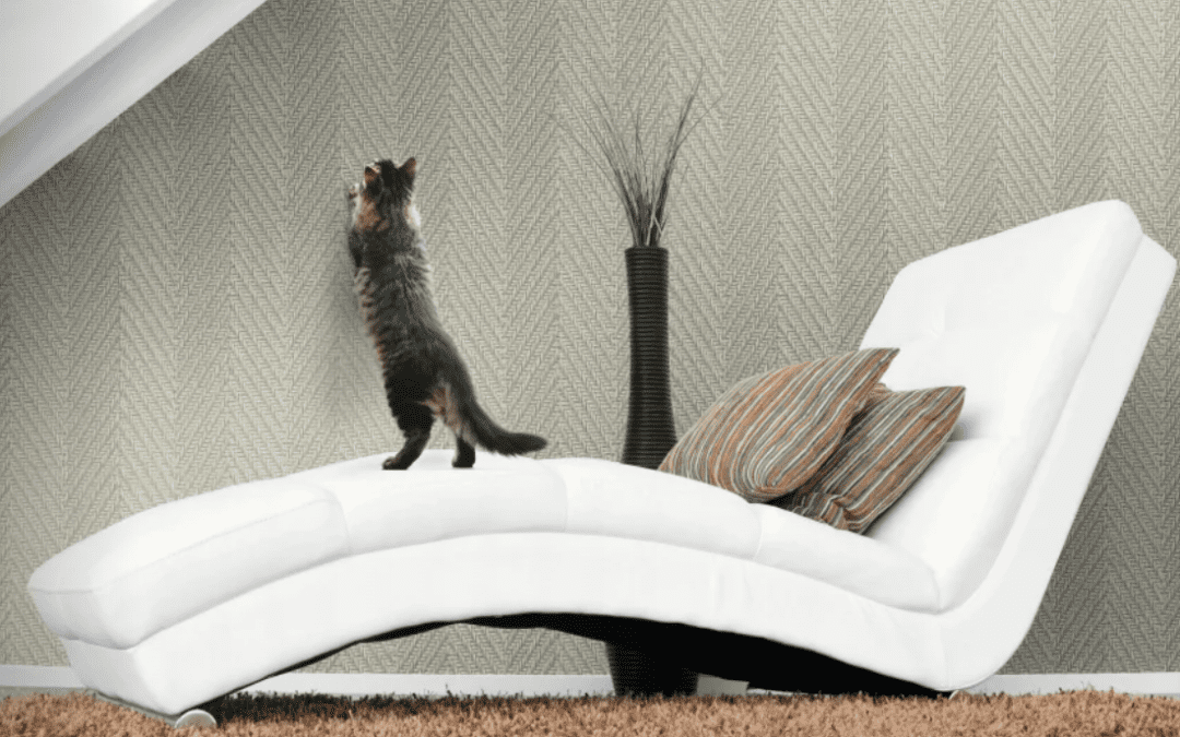 Dupont: Tedlar Textures w/sku