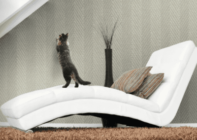 Dupont: Tedlar Textures w/sku