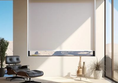 Desert Room Roller Shades – Elegant Window Fashions