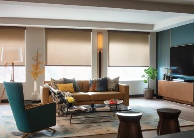 Living Room Roller Shades – Elegant Window Fashions